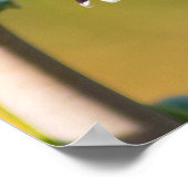 Hummingbird Resting 16 x 20 Poster (Ecke)
