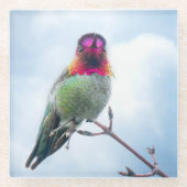 Hummingbird - Rosa rosa Throated Anna's Hummingbir Glasuntersetzer (Vorderseite)