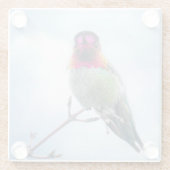 Hummingbird - Rosa rosa Throated Anna's Hummingbir Glasuntersetzer (Rückseite)