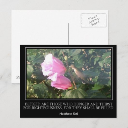 Hummingbird & Rose von Sharon Scripture Post Card Postkarte (Vorne/Hinten)