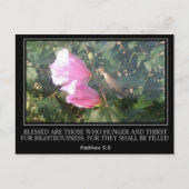 Hummingbird & Rose von Sharon Scripture Post Card Postkarte (Vorderseite)