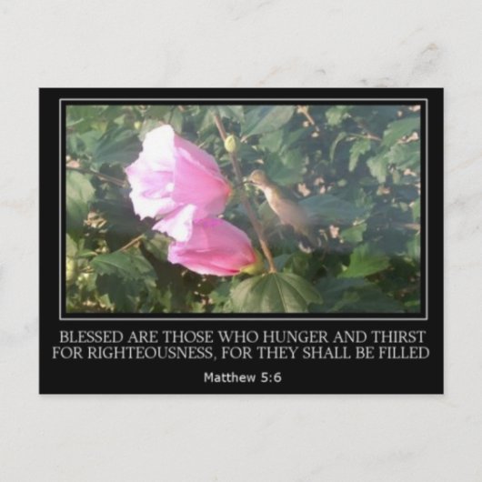 Hummingbird & Rose von Sharon Scripture Post Card Postkarte (Vorderseite)