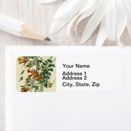 Hummingbird Ruby Throated Audubon (Insitu)