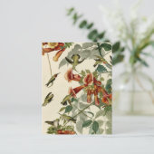 Hummingbird Ruby Throated Audubon Bird Postkarte (Stehend Vorderseite)