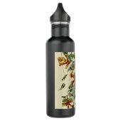 Hummingbird Ruby Throated Audubon Edelstahlflasche (Links)