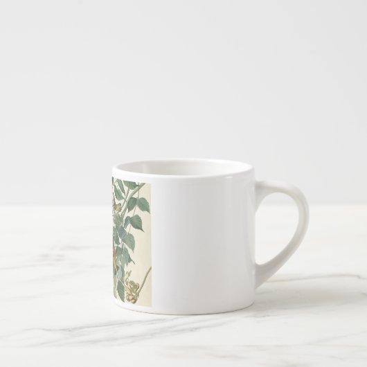 Hummingbird Ruby Throated Audubon Espressotasse (Rechts)