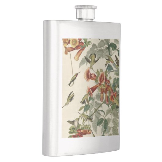 Hummingbird Ruby Throated Audubon Flachmann (Rechts)