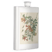 Hummingbird Ruby Throated Audubon Flachmann (Rechts)