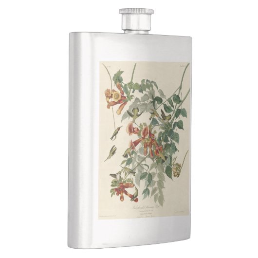 Hummingbird Ruby Throated Audubon Flachmann (Rechts)