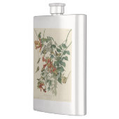 Hummingbird Ruby Throated Audubon Flachmann (Links)