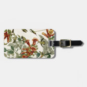 Hummingbird Ruby Throated Audubon Gepäckanhänger (Vorderseite horizontal)