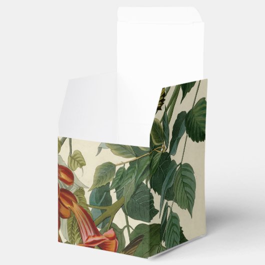 Hummingbird Ruby Throated Audubon Geschenkschachtel (Geöffnet)