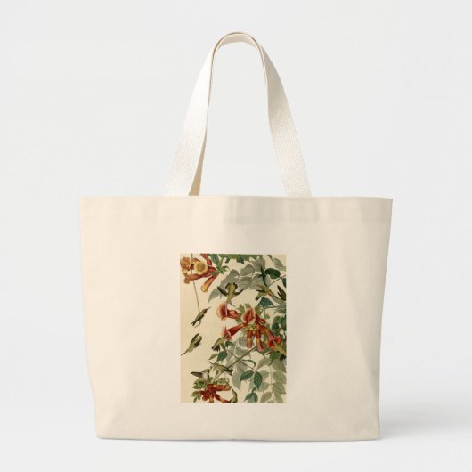 Hummingbird Ruby Throated Audubon Jumbo Stoffbeutel (Vorne)