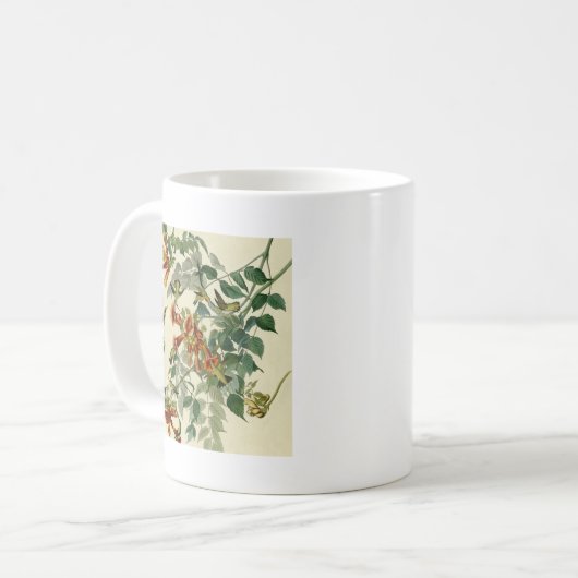 Hummingbird Ruby Throated Audubon Kaffeetasse (Vorderseite Links)