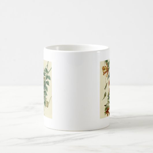 Hummingbird Ruby Throated Audubon Kaffeetasse (Mittel)