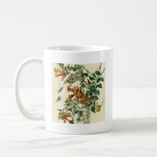 Hummingbird Ruby Throated Audubon Kaffeetasse (Links)