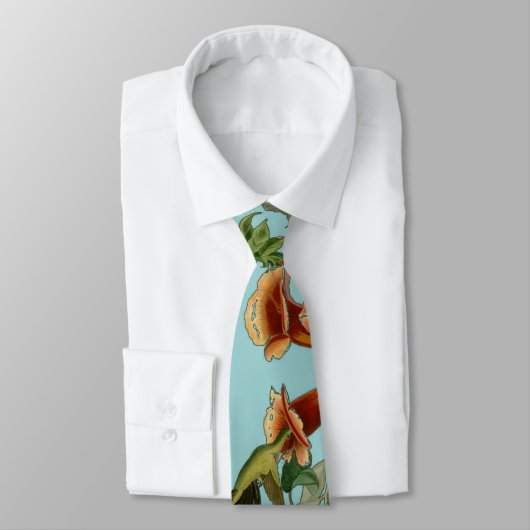 Hummingbird Ruby Throated Audubon Krawatte (Gebunden)