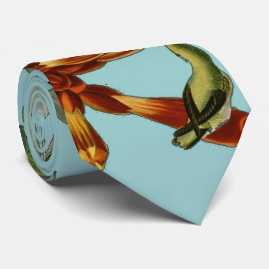 Hummingbird Ruby Throated Audubon Krawatte (Gerollt)