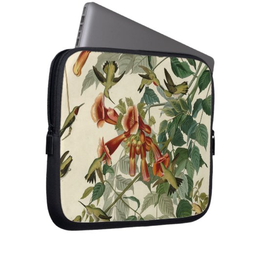 Hummingbird Ruby Throated Audubon Laptopschutzhülle (Vorne Rechts)