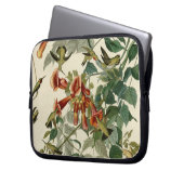 Hummingbird Ruby Throated Audubon Laptopschutzhülle (Vorderseite Links)
