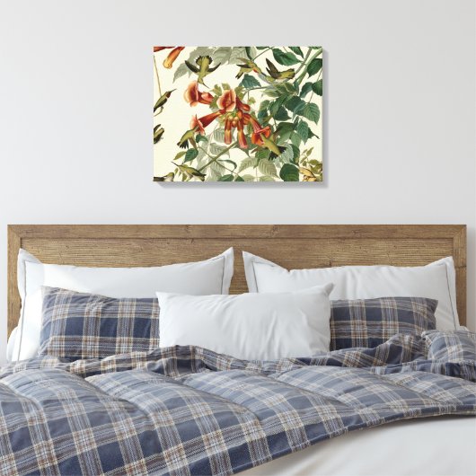 Hummingbird Ruby Throated Audubon Leinwanddruck (Insitu (Schlafzimmer))
