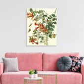 Hummingbird Ruby Throated Audubon Leinwanddruck (Insitu (Wohnzimmer))