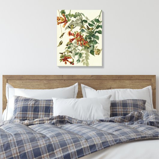 Hummingbird Ruby Throated Audubon Leinwanddruck (Insitu (Schlafzimmer))