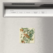 Hummingbird Ruby Throated Audubon Magnet (In Situ (Geschirrspüler))