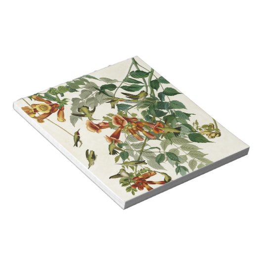 Hummingbird Ruby Throated Audubon Notizblock (angewinkelt)