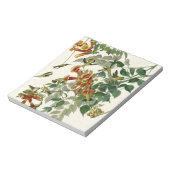 Hummingbird Ruby Throated Audubon Notizblock (Rotiert)