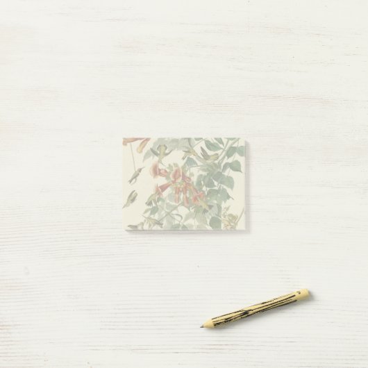 Hummingbird Ruby Throated Audubon Post-it Klebezettel (Auf Schreibtisch)