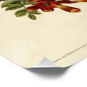 Hummingbird Ruby Throated Audubon Poster (Ecke)