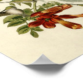 Hummingbird Ruby Throated Audubon Poster (Ecke)