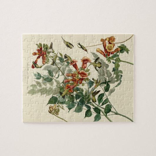 Hummingbird Ruby Throated Audubon Puzzle (Horizontal)