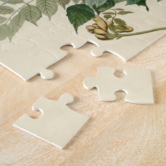 Hummingbird Ruby Throated Audubon Puzzle (Seite)