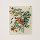 Hummingbird Ruby Throated Audubon Puzzle (Vertikal)