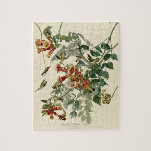 Hummingbird Ruby Throated Audubon Puzzle (Vertikal)