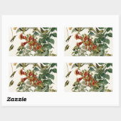 Hummingbird Ruby Throated Audubon Rechteckiger Aufkleber (Blatt)