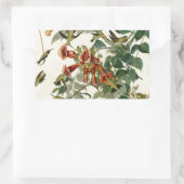 Hummingbird Ruby Throated Audubon Rechteckiger Aufkleber (Tasche)