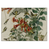 Hummingbird Ruby Throated Audubon Schneidebrett (Vorderseite)