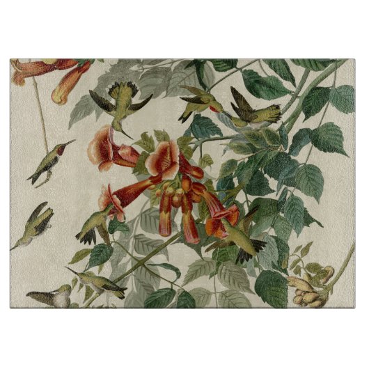 Hummingbird Ruby Throated Audubon Schneidebrett (Vorderseite)
