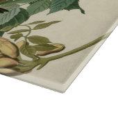 Hummingbird Ruby Throated Audubon Schneidebrett (Ecke)