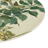 Hummingbird Ruby Throated Audubon Schneidebrett (Ecke)