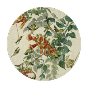 Hummingbird Ruby Throated Audubon Schneidebrett