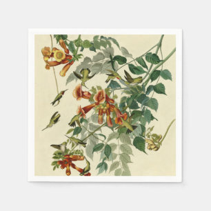 Hummingbird Ruby Throated Audubon Serviette