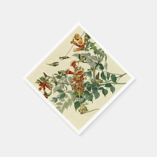 Hummingbird Ruby Throated Audubon Serviette (Ecke)