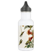 Hummingbird Ruby Throated Audubon Trinkflasche (Links)