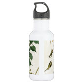 Hummingbird Ruby Throated Audubon Trinkflasche (Rückseite)