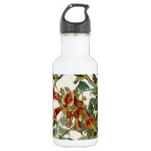 Hummingbird Ruby Throated Audubon Trinkflasche (Vorderseite)