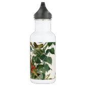 Hummingbird Ruby Throated Audubon Trinkflasche (Rechts)